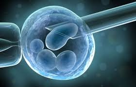 Conservazione delle cellule staminali – i limiti della normativa itali