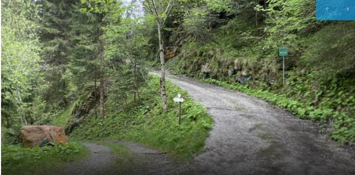 Orsi in Trentino? Si può convivere
