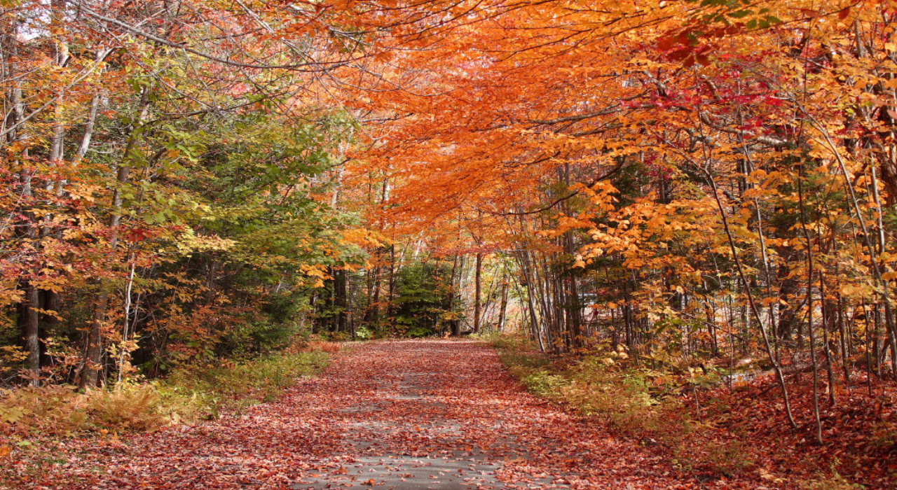 Viaggio autunnale tra i colori della Toscana