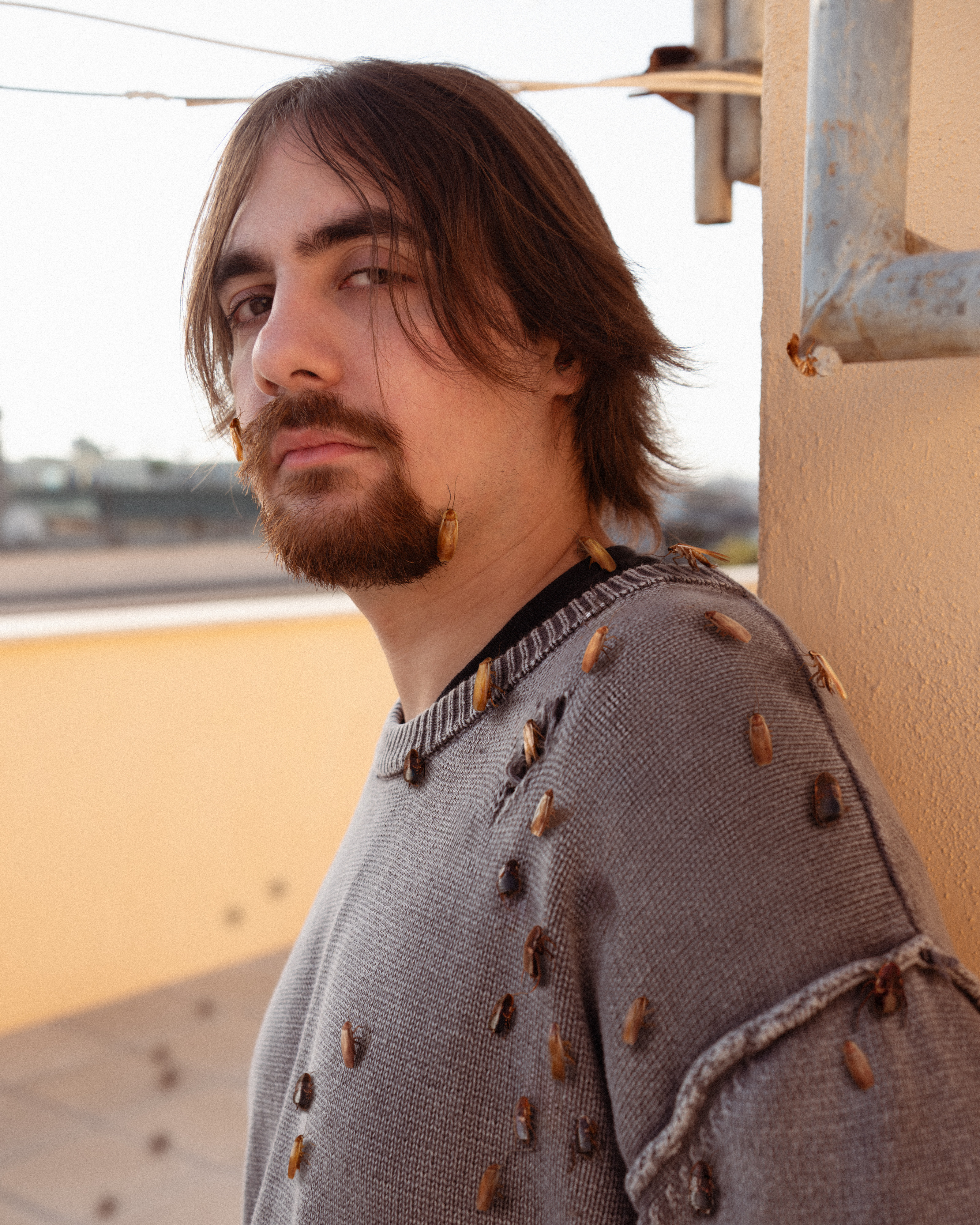 Come gli altri stronzi singolo di Morto