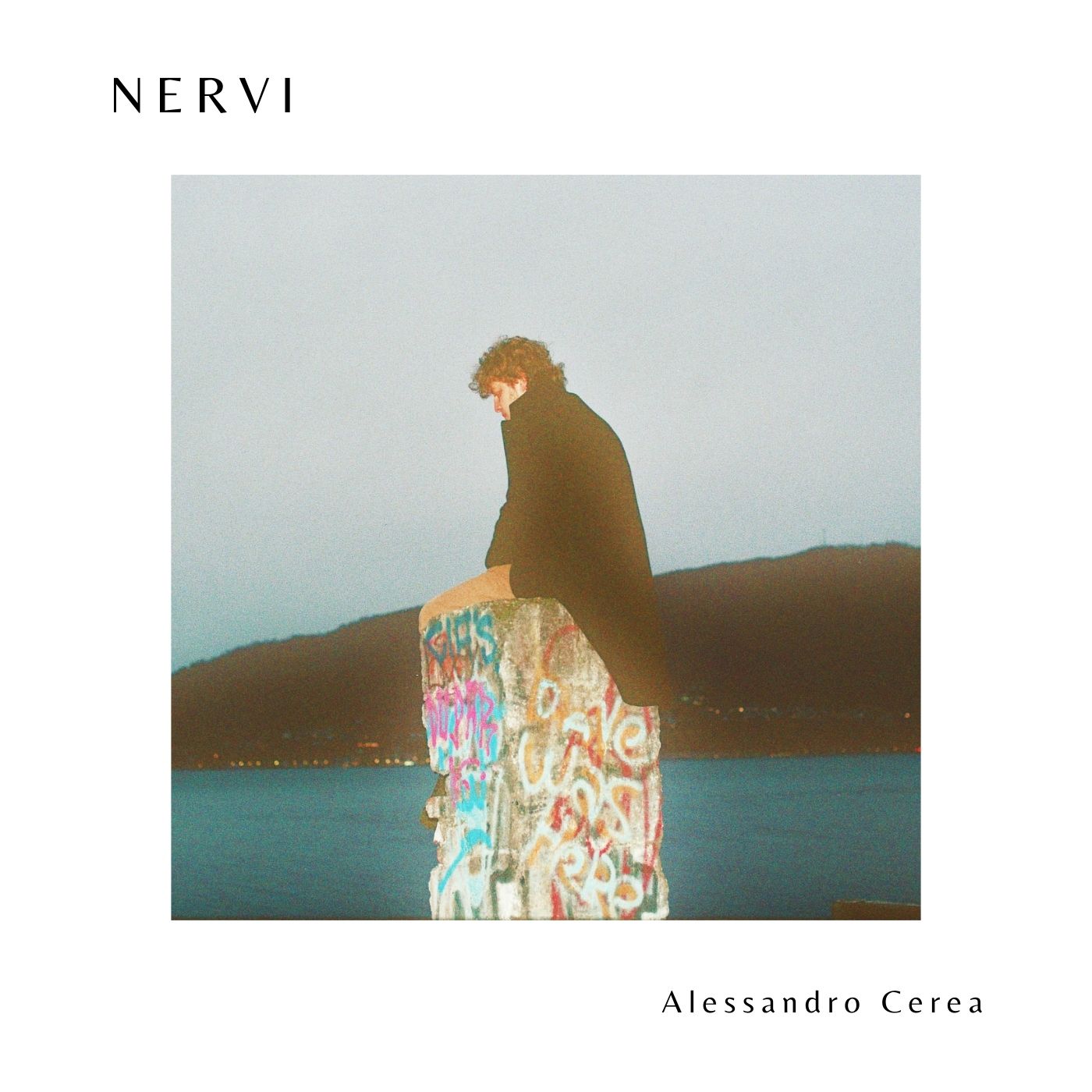 Alessandro Cerea - Nervi