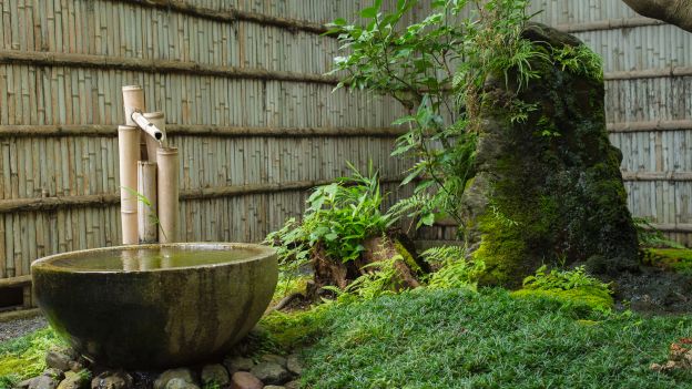 Elementi essenziali in un giardino giapponese