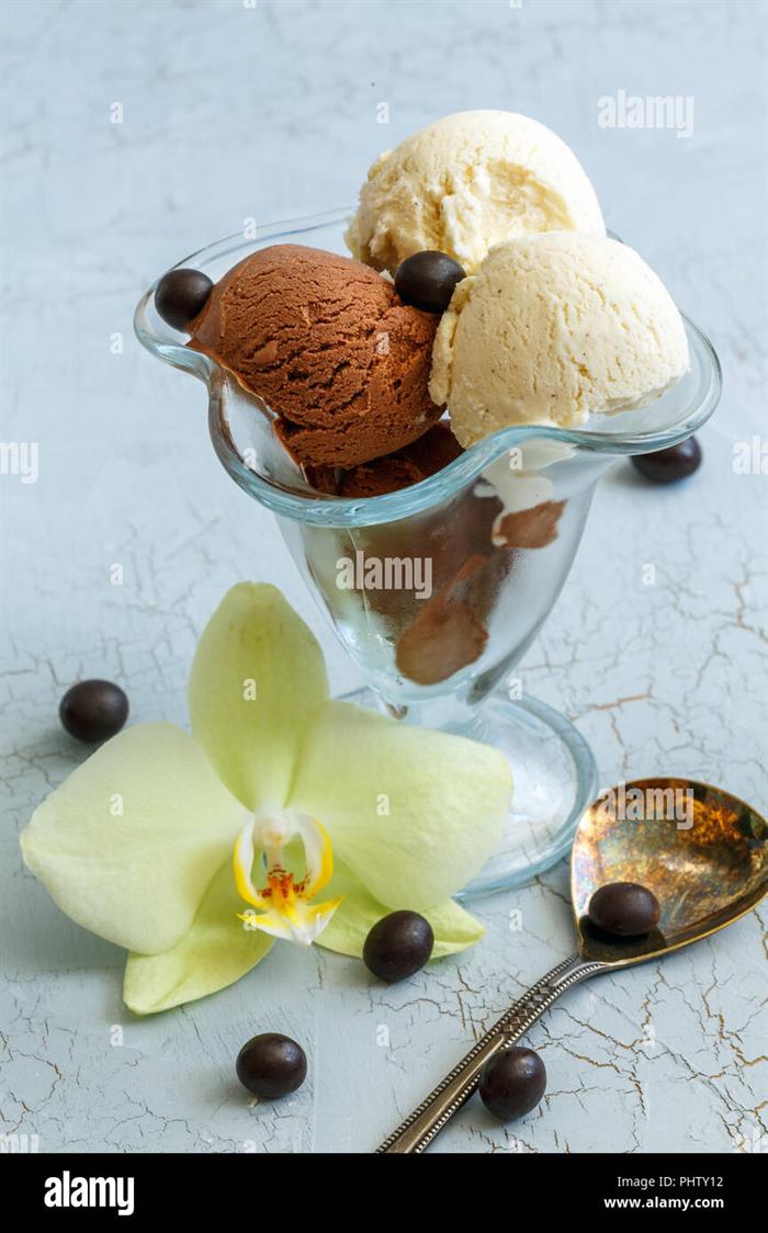 Gelato Artigianale alla Vaniglia e Cioccolato