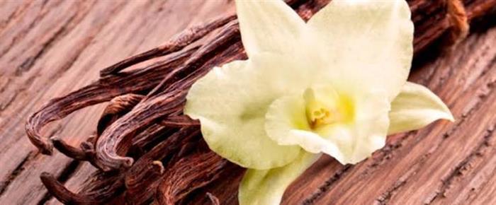 La vaniglia: un aroma prezioso tra natura e tradizione