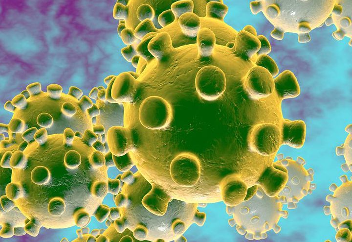 Cosa farai dopo il coronavirus ?